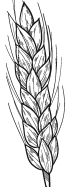 Розмальовка пшениця | Розмальовки для дітей друк онлайн